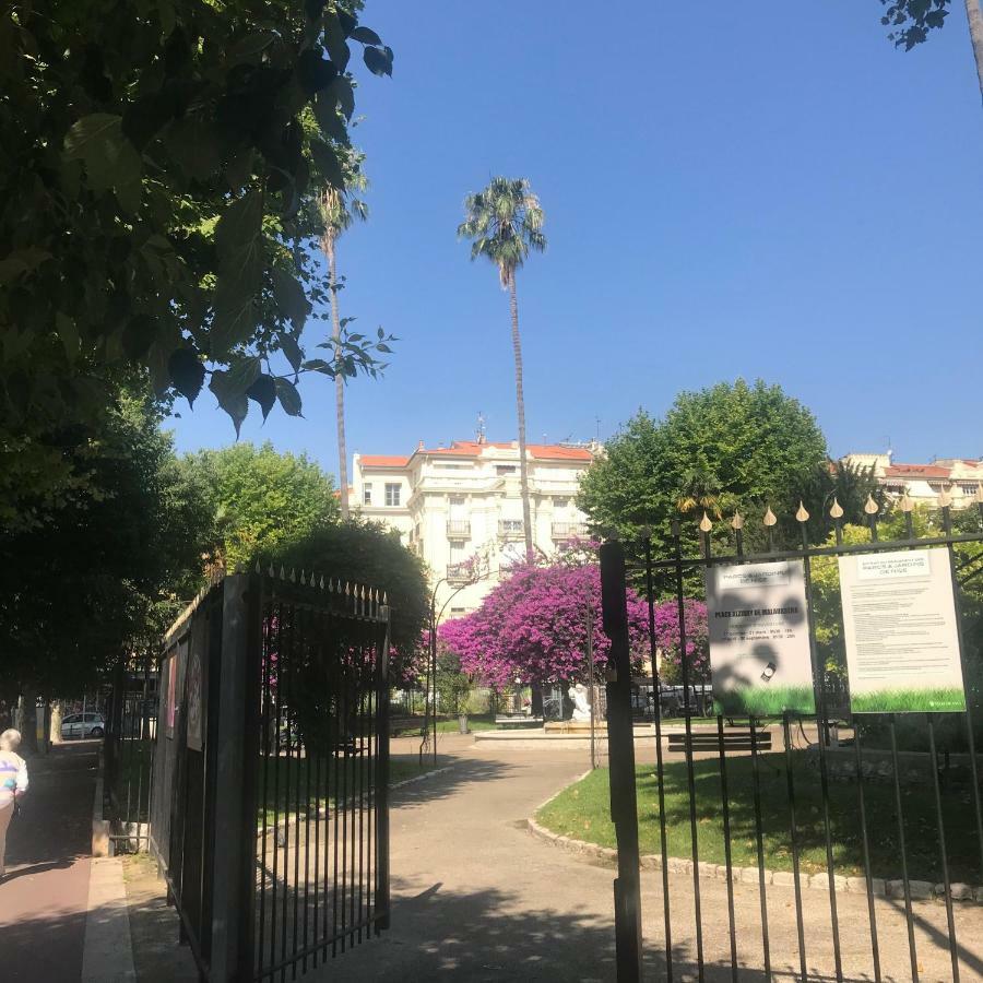Apartamento Roses & Ivy, Rue Du Congres Niza